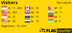 Flag Counter