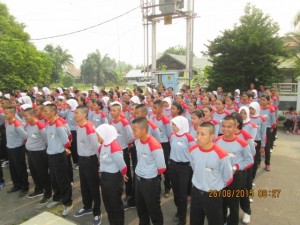 PPSM (7)